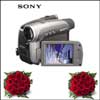 Heartly Wishes - Click here to View more details about this Product